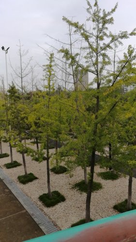 云河公园旅行图片 3
