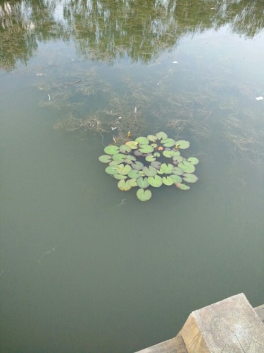太阳湖旅行图片 3