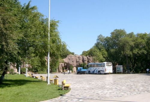 大庆森林公园旅行图片 1