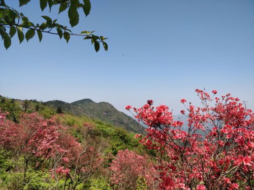 高姥山省级度假区旅行图片 1