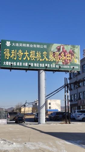 得利寺大樱桃实景照片