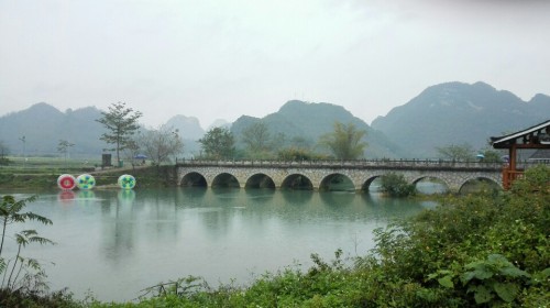 德保格桑花旅行图片 1