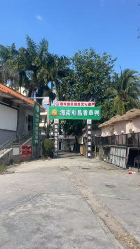 海南屯昌香草鸭饭店