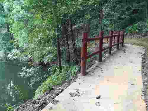 四川省白牛寨森林公园旅行图片 1