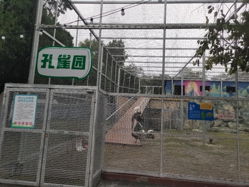 张公山孔雀园