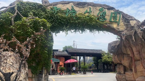 炒粉