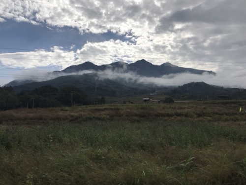古榕花海园旅行图片 2