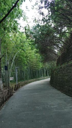 雨台山公园旅行图片 1