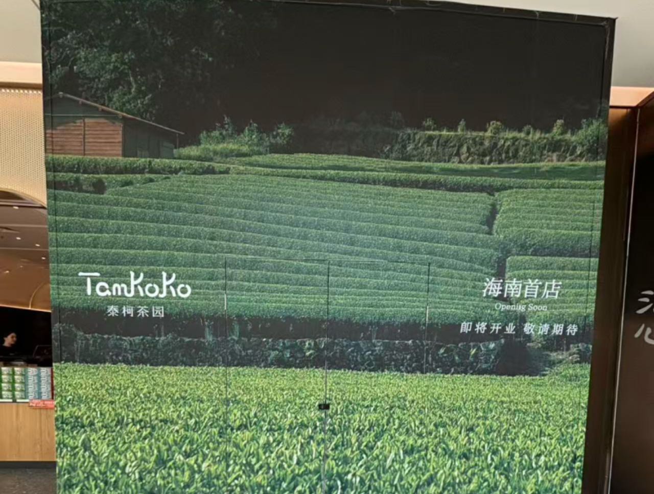 Tamkoko泰柯茶园(三亚免税城店)
