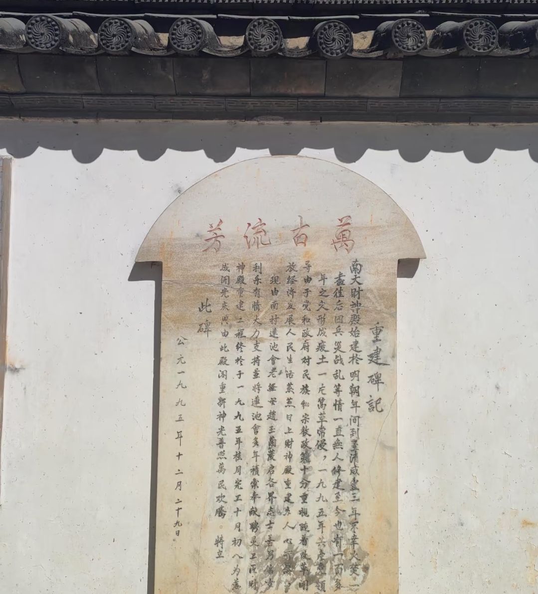 南天财神实景照片