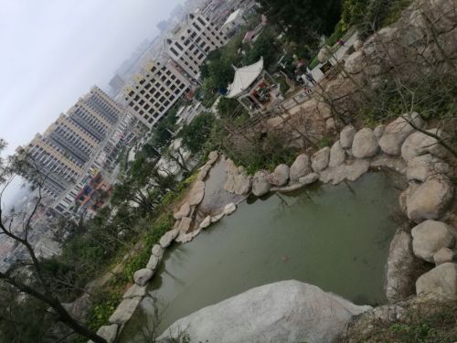 万宝公园旅行图片 3