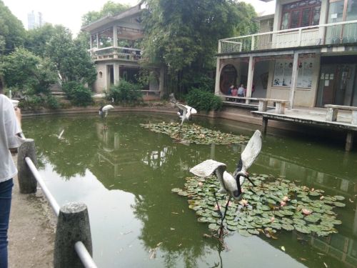 人民公园旅行图片 2