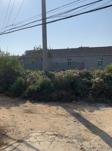 上马石遗址旅行图片 2