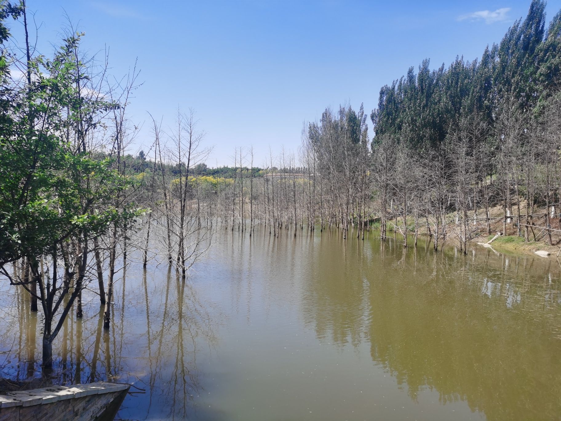 正定县赵普大街水循环湿地公园
