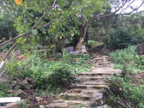 宝峰岩旅行图片 2