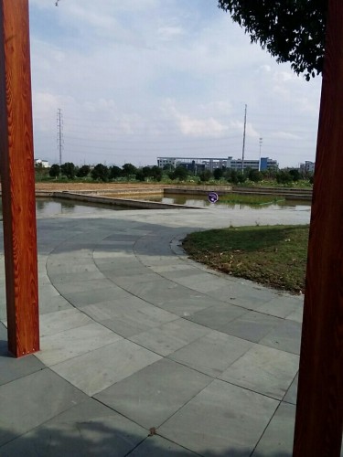 七一农业生态园旅行图片 1
