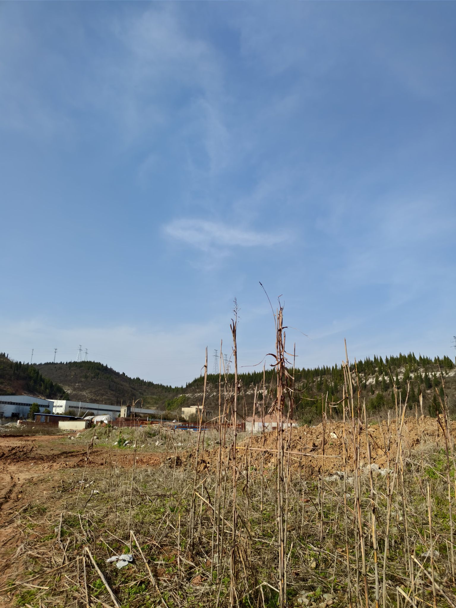 青龙寺实景照片