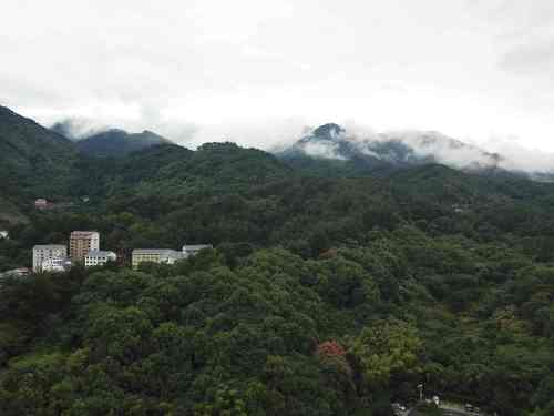 三台塔旅行图片 1