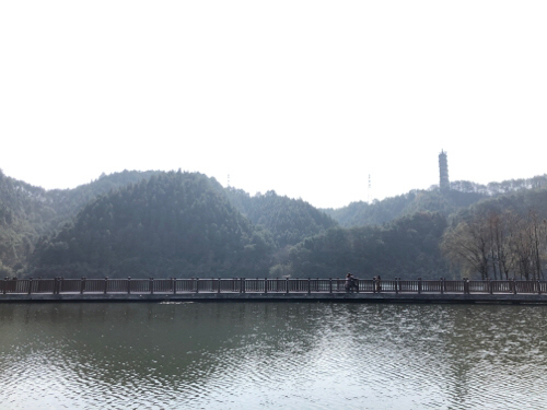 横江公园旅行图片 1