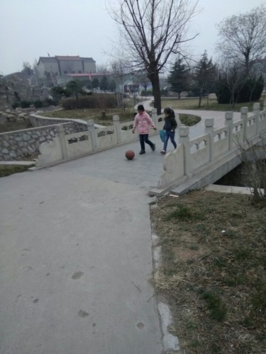 孙思邈公园旅行图片 2