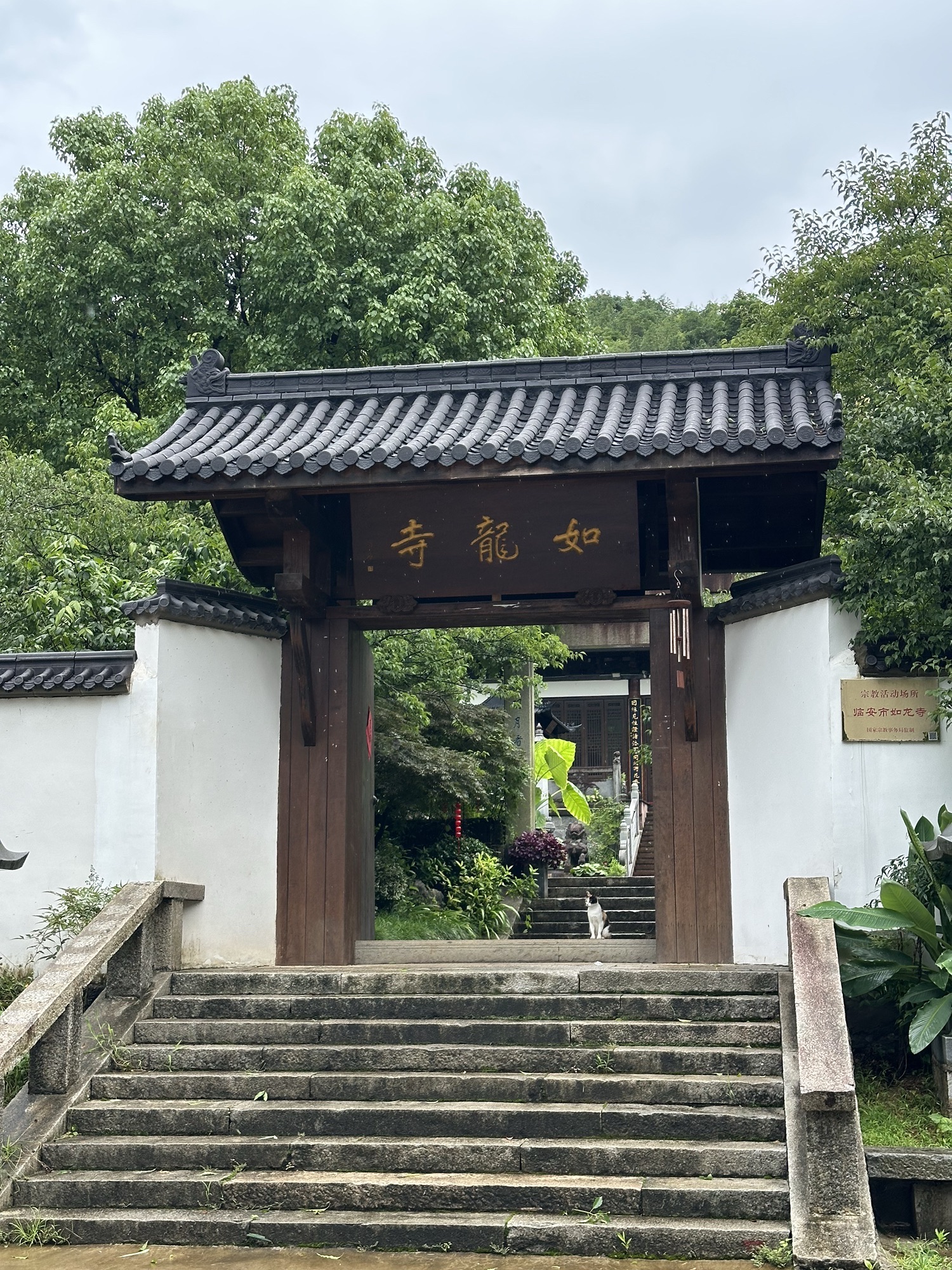 如龙寺实景照片