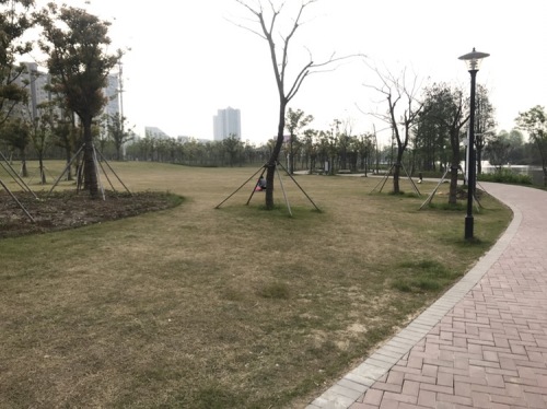 九里公园旅行图片 1