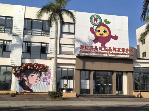 澄迈桥头地瓜品牌展示中心