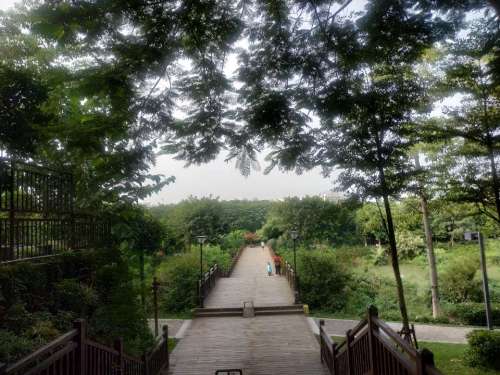 蓝溪湿地公园旅行图片 1