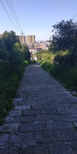 小白山生态公园旅行图片 2