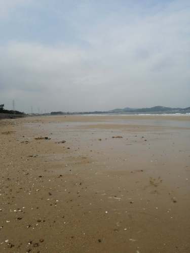小岞林场沙滩旅行图片 1