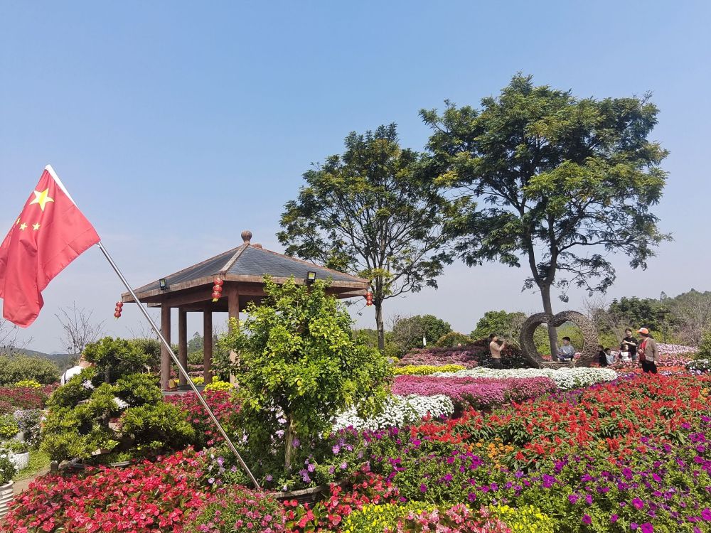 樱山花谷景点图片