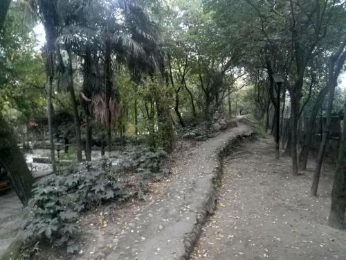 留春苑旅行图片 3