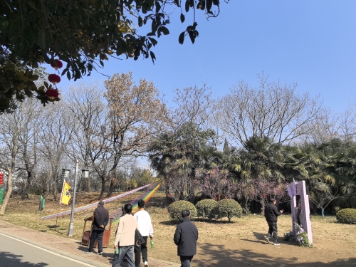 百合园