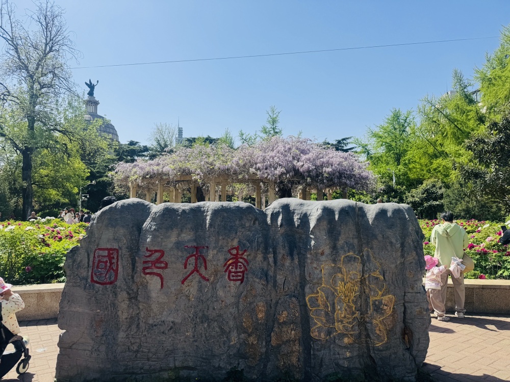 碧沙岗公园景点图片