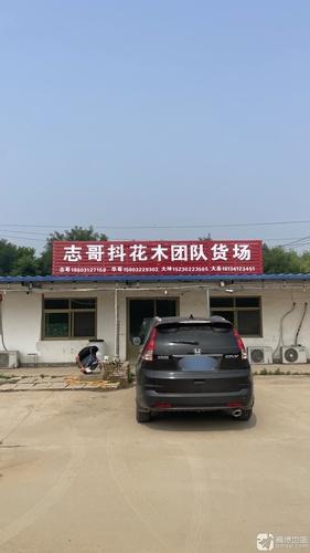 志哥抖花木团队货场