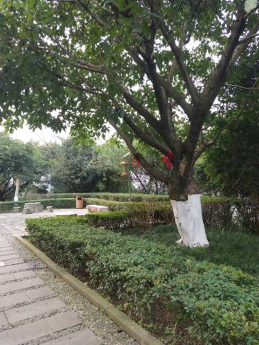 天宫殿公园(泰山大道中段)旅行图片 1