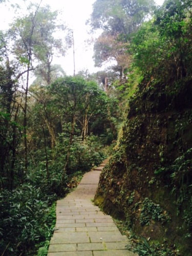 栟榈山旅行图片 3