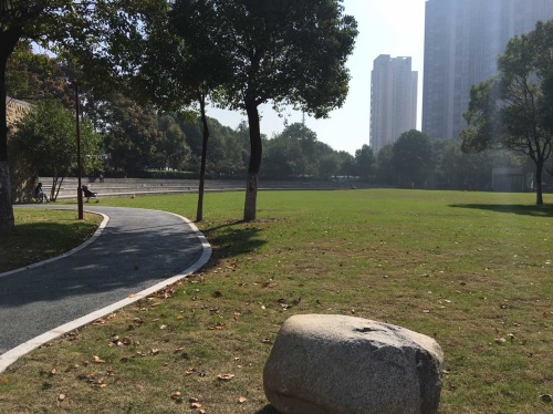 滨水公园旅行图片 1