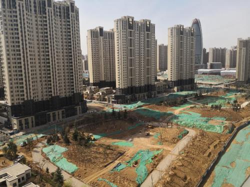 凤栖公园旅行图片 2