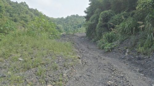 小金山省级森林公园旅行图片 2