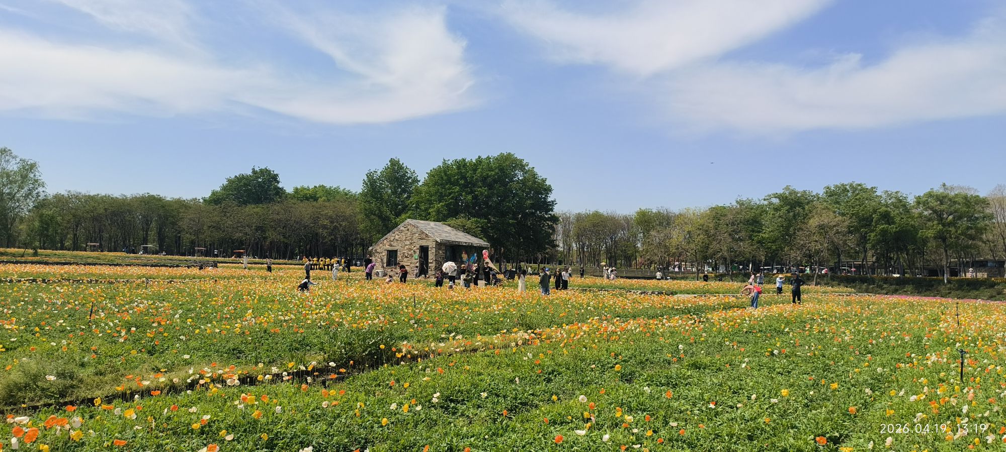江苏三台山国家森林公园-紫菱里