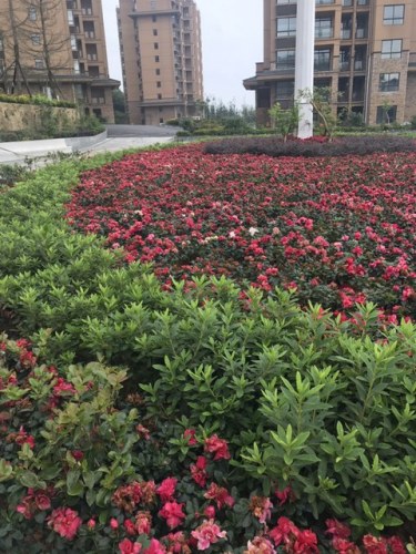 茅庵森林公园旅行图片 1
