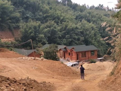 世外桃源森林公园旅行图片 3
