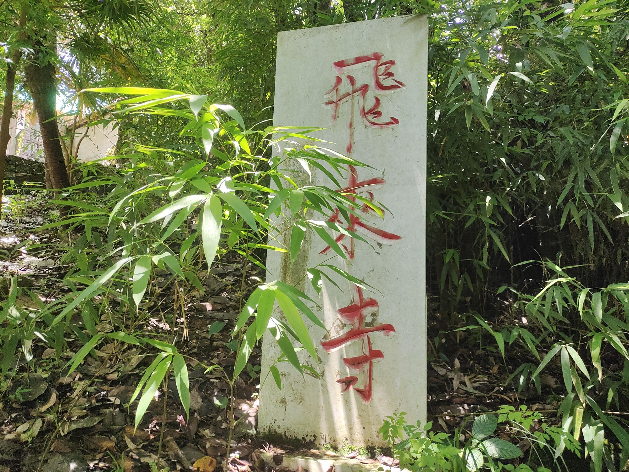 飞来寺实景照片