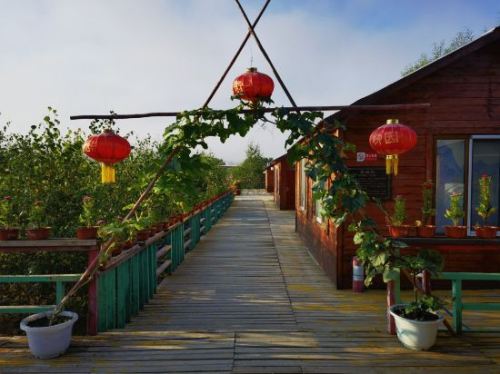 柳园生态观光园旅行图片 3