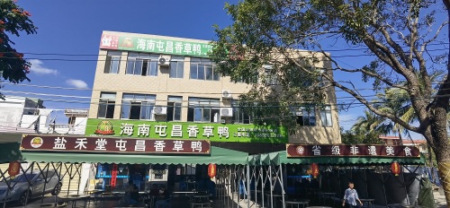 海南屯昌香草鸭