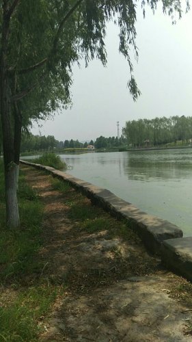 清凉湾湿地公园旅行图片 1