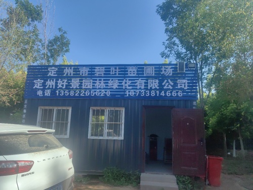 定州碧叶苗圃场