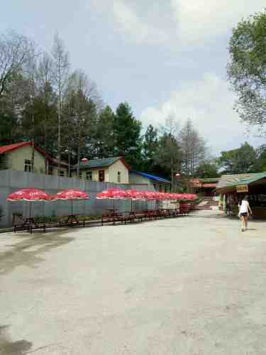 龙源山文化广场旅行图片 2
