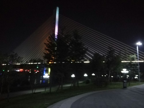 芹洋半岛滨水湿地公园旅行图片 2
